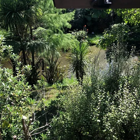 Peaceful Cottage In Beautiful Landscaped Native Bush Gully Tamahere Exterior photo