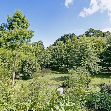 Peaceful Cottage In Beautiful Landscaped Native Bush Gully Tamahere Exterior photo