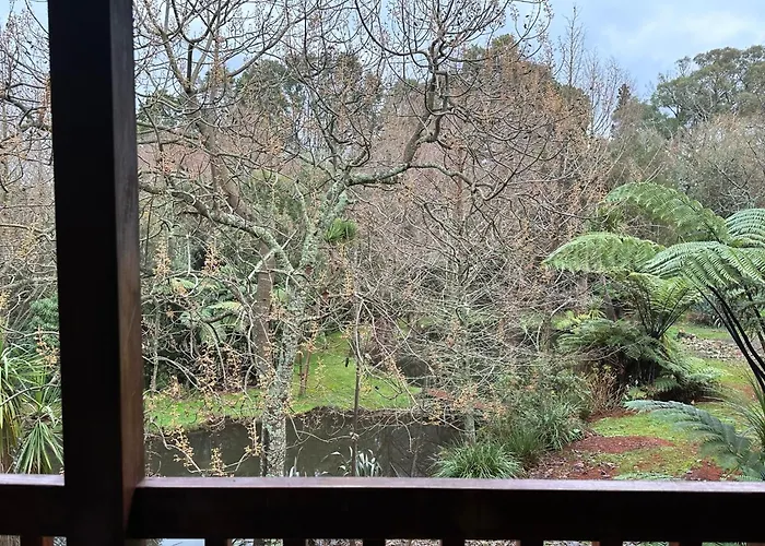 Peaceful Cottage In Beautiful Landscaped Native Bush Gully