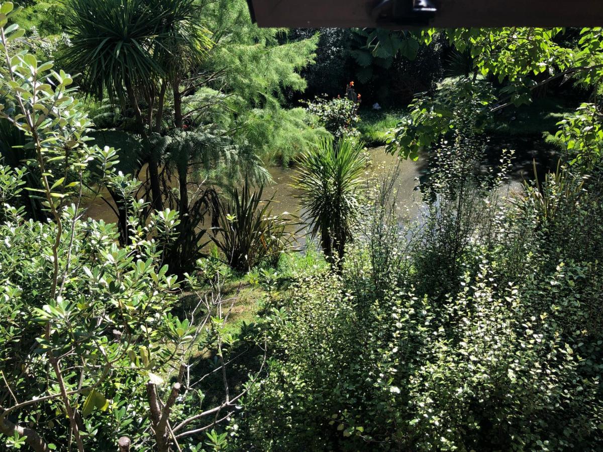 Chalet Peaceful In Beautiful Landscaped Native Bush Gully Tamahere