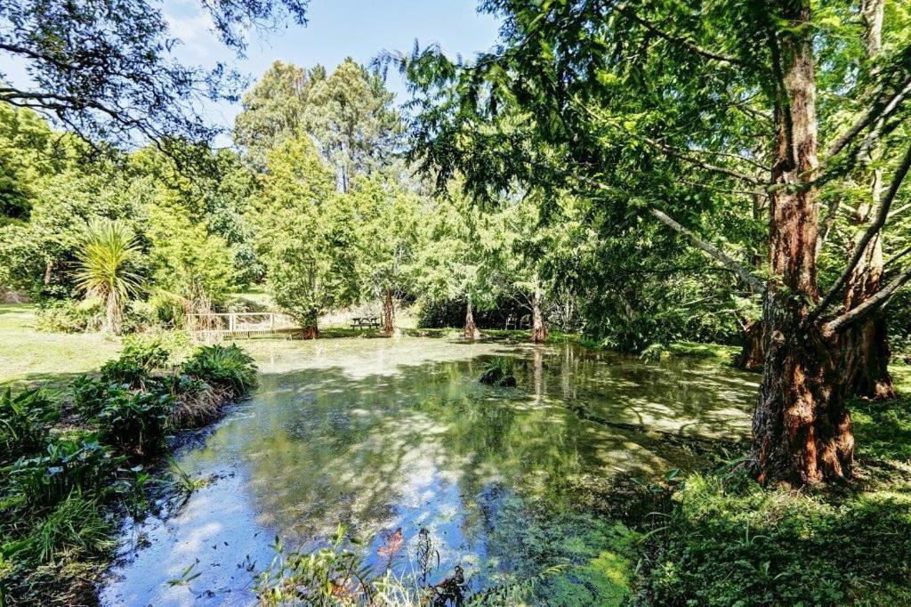 Peaceful In Beautiful Landscaped Native Bush Gully Tamahere