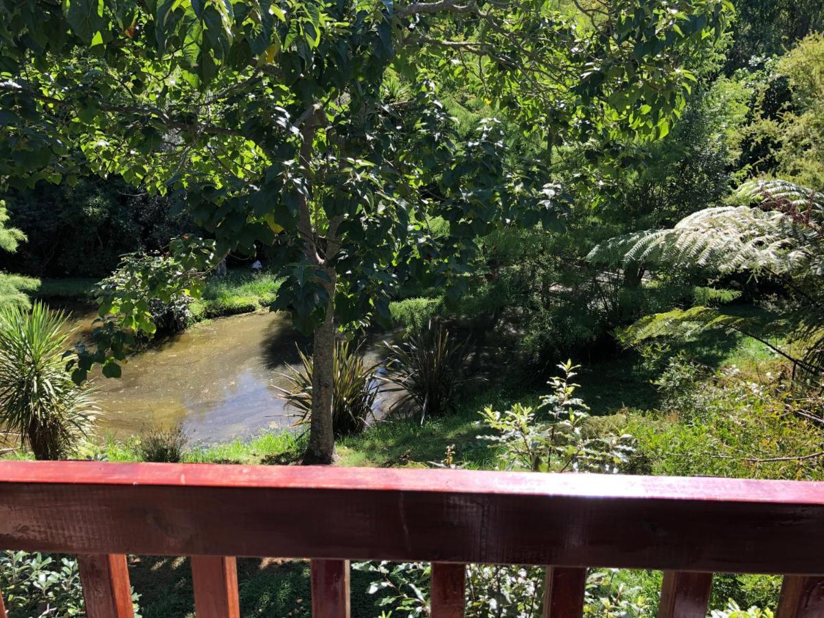 Peaceful In Beautiful Landscaped Native Bush Gully Tamahere