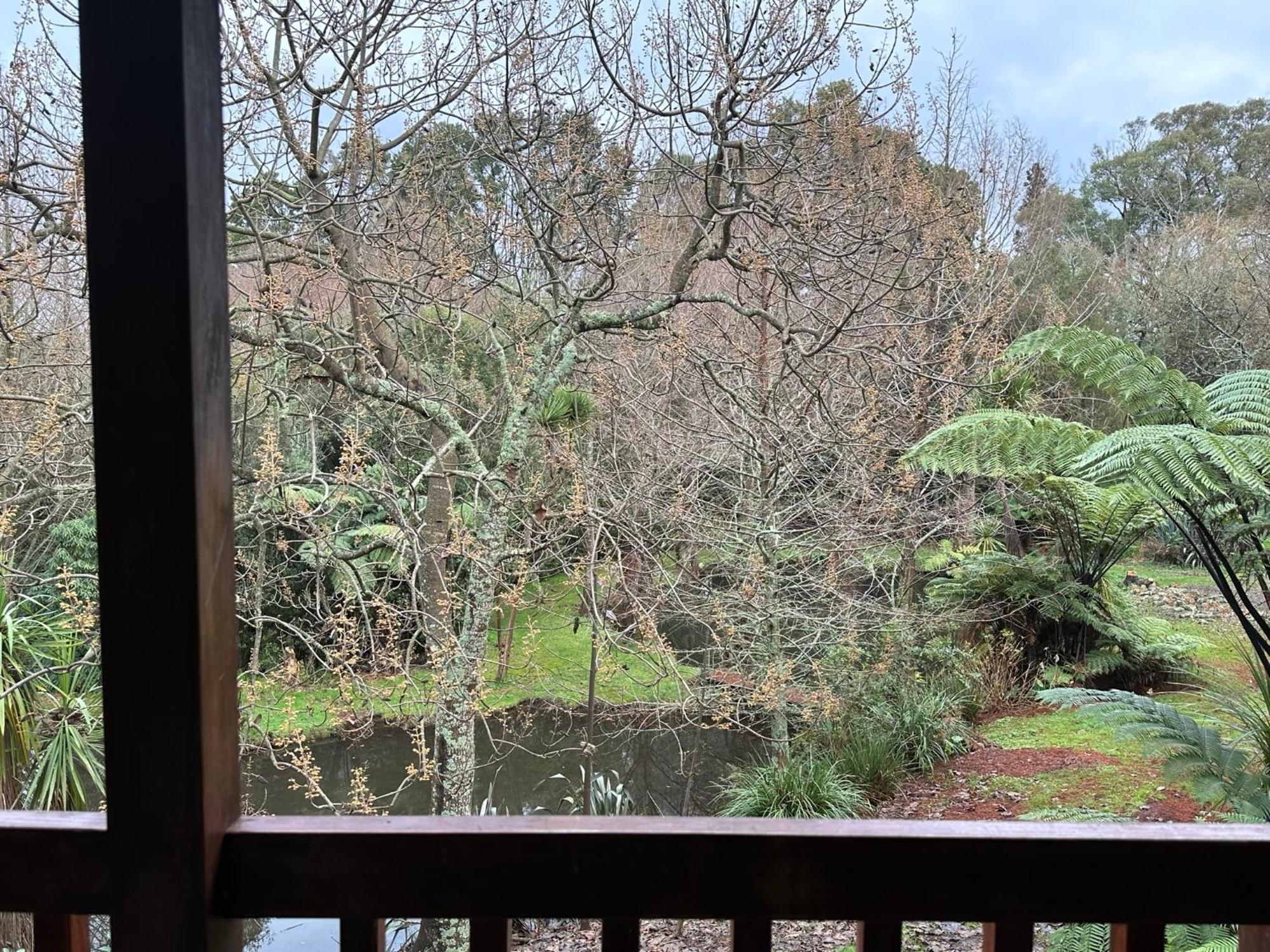 Peaceful In Beautiful Landscaped Native Bush Gully *