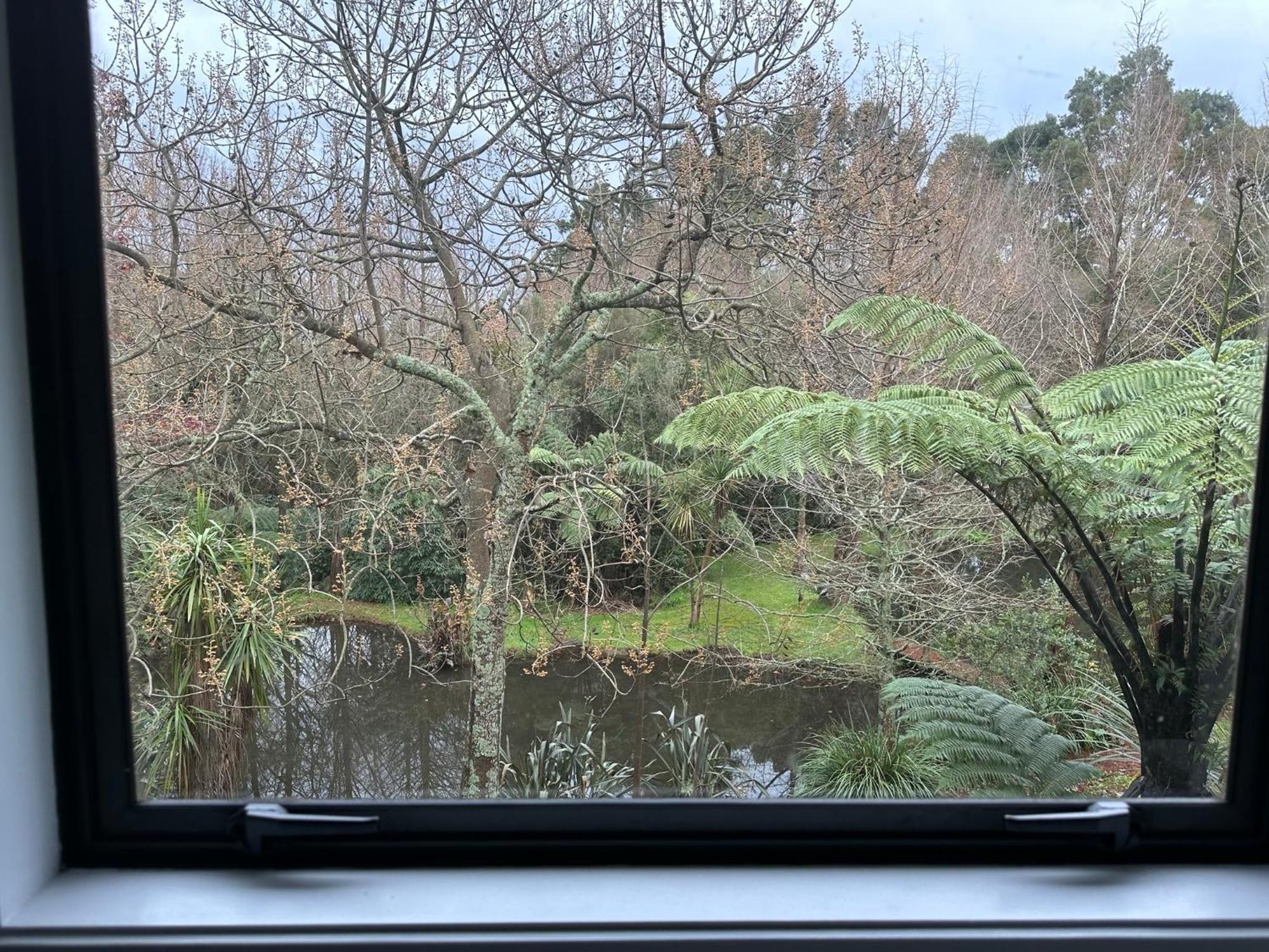 Peaceful In Beautiful Landscaped Native Bush Gully *